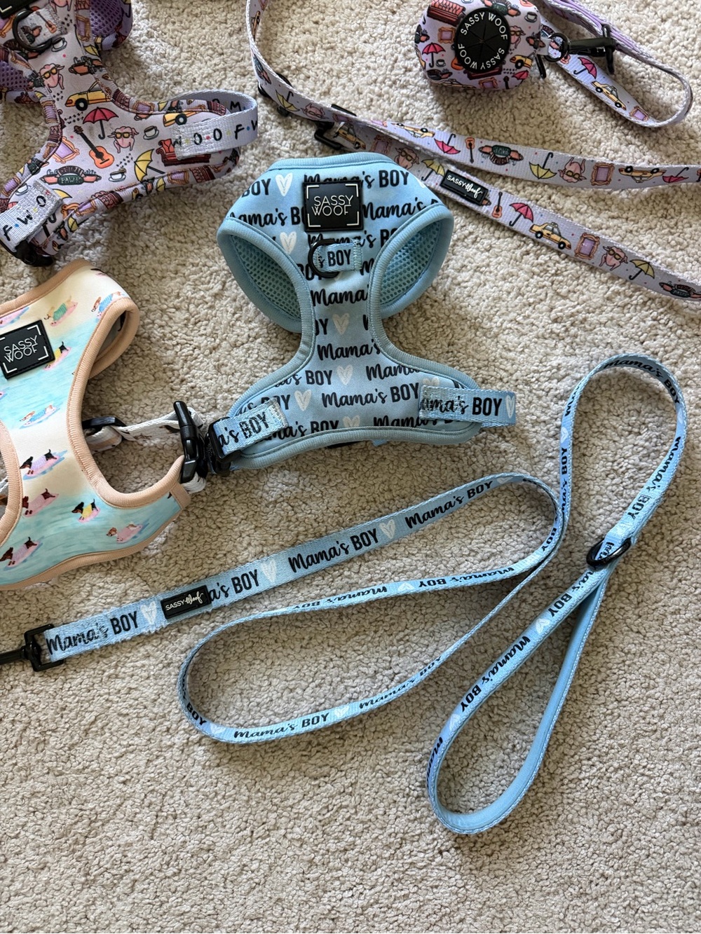 Sassy Woof Harness Leash Bundle - Picture 2 of 16
